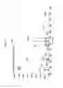 Fig. 33 - Spiro-oxindole MDM2 antagonists