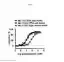 Fig. 38 - Spiro-oxindole MDM2 antagonists