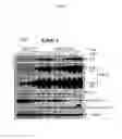 Fig. 41 - Spiro-oxindole MDM2 antagonists
