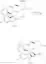 Fig. 414 - Spiro-oxindole MDM2 antagonists