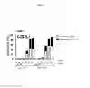 Fig. 43 - Spiro-oxindole MDM2 antagonists