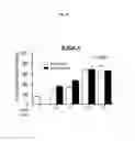 Fig. 44 - Spiro-oxindole MDM2 antagonists