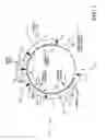 Fig. 02 - Process for isolating crystallized 2,2,4,4 tetramethyl-1,3-cyclobutanediol (TMCD) particles utilizing pressure filtration