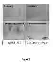 Fig. 07 - Oxidation decontamination reagent for removal of the dense radioactive oxide layer on the metal surface and oxidation decontamination method using the same