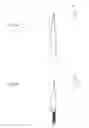 Fig. 06 - Radioactive therapeutic device with fixation