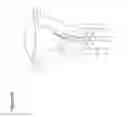 Fig. 31 - UTERINE EMBRYO RETRIEVAL
