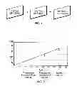 Fig. 02 - DYNAMIC MEDICAL ECOSYSTEMS MODELING