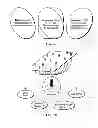 Fig. 10 - DYNAMIC MEDICAL ECOSYSTEMS MODELING