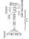 Fig. 15 - DYNAMIC MEDICAL ECOSYSTEMS MODELING