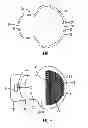 Fig. 03 - Anchoring apparatus and method for attaching device on body