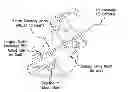 Fig. 01 - APPARATUS, DEVICES AND METHODS FOR OBTAINING OMNIDIRECTIONAL VIEWING BY A CATHETER