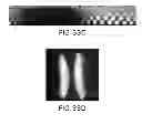 Fig. 47 - APPARATUS, DEVICES AND METHODS FOR OBTAINING OMNIDIRECTIONAL VIEWING BY A CATHETER