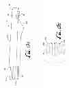 Fig. 07 - Skin treatment device