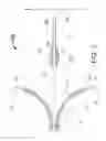 Fig. 02 - PERI-VASCULAR TISSUE ABLATION CATHETER WITH MECHANICAL SUPPORT STRUCTURES