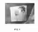 Fig. 02 - Hemostatic sponge