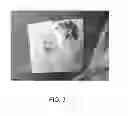 Fig. 04 - Hemostatic sponge