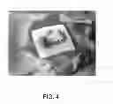 Fig. 05 - Hemostatic sponge