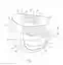 Fig. 02 - Absorbent article having a folded waist