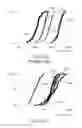 Fig. 19 - FATIGUE DAMAGE RESISTANT WIRE AND METHOD OF PRODUCTION THEREOF
