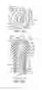 Fig. 08 - Catheter