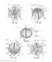 Fig. 19 - Methods and systems to provide excluded defined zones for increasing accommodative amplitude