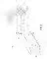 Fig. 03 - Modular fracture fixation system