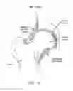 Fig. 07 - Method and apparatus for distracting a joint, including the provision and use of a novel fluid joint spacer