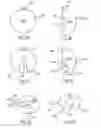 Fig. 03 - Device and method for hip distention and access