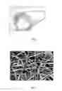 Fig. 02 - Tissue-Engineered Vascular Graft and Its Fabrication Approach