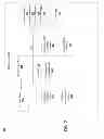 Fig. 06 - SYSTEMS, METHODS, AND DEVICES FOR INTERACTIVE MARKETING WITH ATTRIBUTION USING PROXIMITY SENSORS