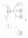 Fig. 08 - Automated resolution of database dictionary conflicts