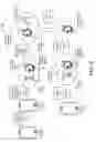 Fig. 04 - PREDICTIVE PRE-CACHING OF CONTENT