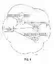Fig. 02 - Load balancing in cloud-based networks