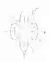 Fig. 03 - Testing electronic memories based on fault and test algorithm periodicity