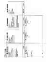 Fig. 40 - Method, apparatus and system for management of information content for enhanced accessibility over wireless communication networks