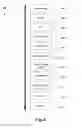 Fig. 09 - Remote browsing session management with multiple content versions