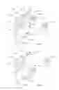 Fig. 02 - VISUAL RECOGNITION OF GESTURES