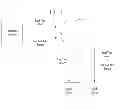 Fig. 02 - DEVICE AND METHOD FOR PROCESSING BI-DIRECTIONAL SERVICE RELATED TO BROADCAST PROGRAM