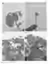 Fig. 01 - Soybean resistant to cyst nematodes