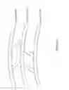 Fig. 06 - Biomechanics aware helmet