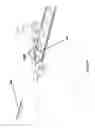 Fig. 05 - Rotatable rail device and method for placing a truck onto a set of tracks
