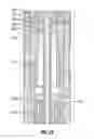 Fig. 13 - Downhole-adjusting impact apparatus and methods