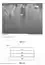 Fig. 06 - POROUS ARTICLES, METHODS, AND APPARATUSES FOR FORMING SAME