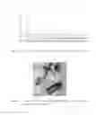 Fig. 02 - Metal phosphates and process for the preparation thereof