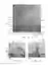 Fig. 08 - Nitride semiconductor element, nitride semiconductor wafer, and method for forming nitride semiconductor layer