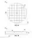 Fig. 02 - Dice before grind with backside metal