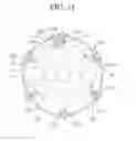 Fig. 09 - Mechanically and electrically integrated module