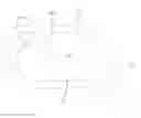 Fig. 01 - Mirror reflective element sub-assembly for exterior rearview mirror of a vehicle