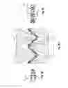 Fig. 07 - Films and bags with visually distinct regions and methods of making the same