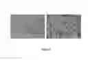 Fig. 09 - Nanoparticles comprising a vegetable hydrophobic protein and a water miscible non-volatile organic solvent and uses thereof